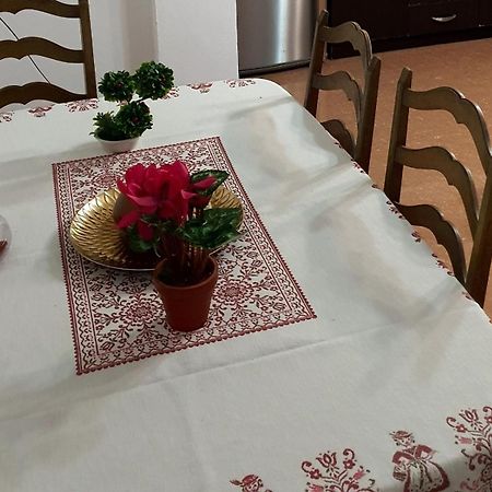 City Center Apartment Shkodër 外观 照片
