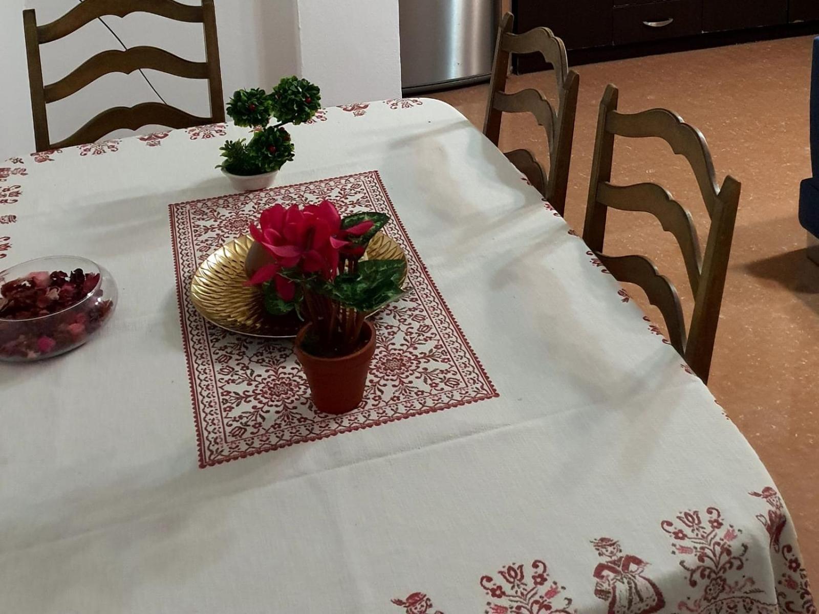 City Center Apartment Shkodër 外观 照片