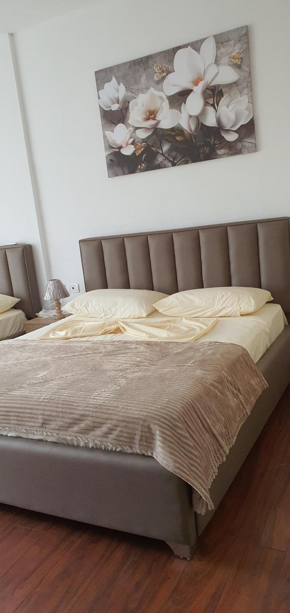 City Center Apartment Shkodër 外观 照片